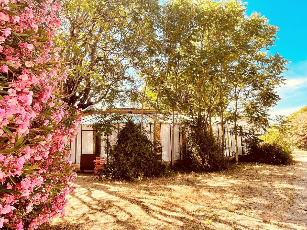 Tres Belle Rotonde Deco Boheme, Tennis, Parking Nîmes Zewnętrze zdjęcie